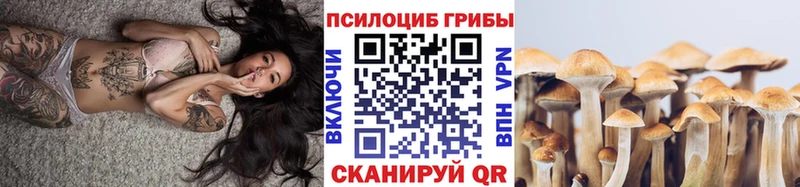наркотики  Энгельс  Галлюциногенные грибы Magic Shrooms 