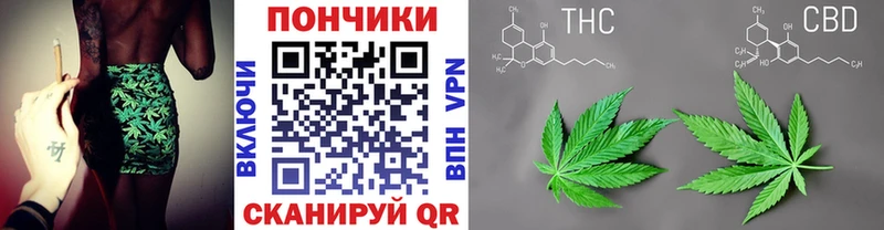 Шишки марихуана семена наркотики Энгельс